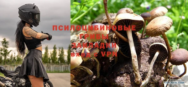 прущая мука Алексеевка